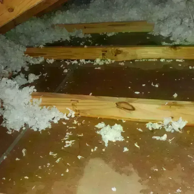 Attic Water Damage in Oakdale, LA