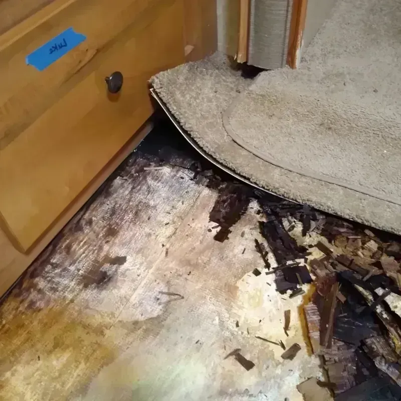 Best Wood Floor Water Damage Service in Oakdale, LA